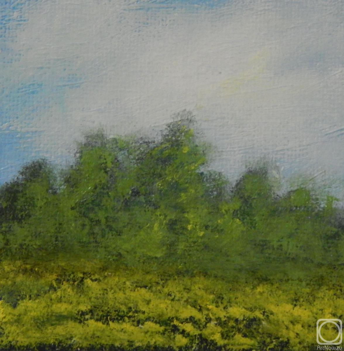 ������ �������. ������ �������� ����