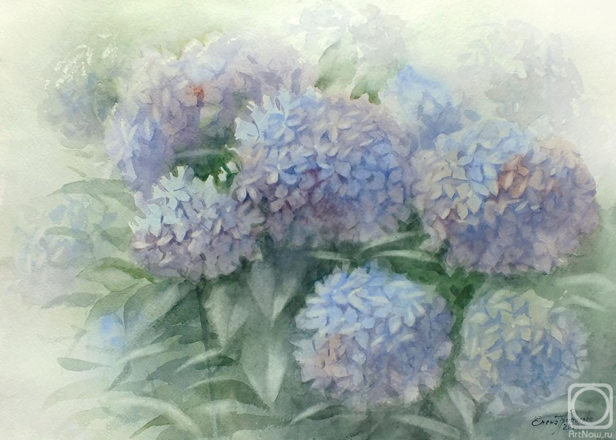 �������. ��������� �����. ���������