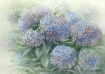 ���������. ��������� �����