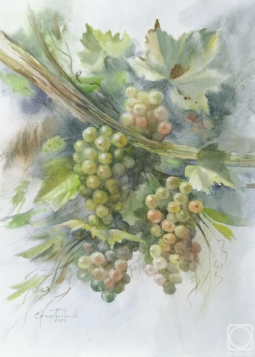 �������. ��������� �����. ��������