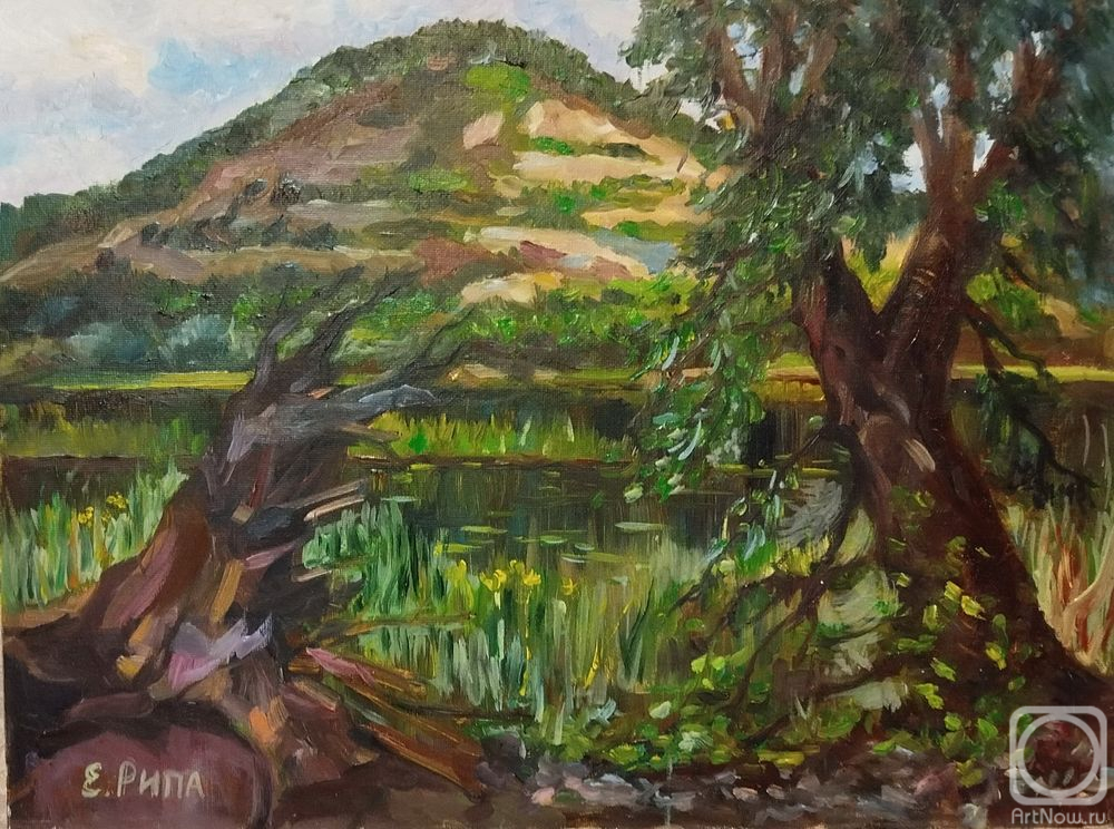 ������� ������ �� ������. ���� �����. ���� � �������