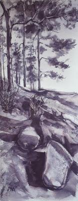 ��������. �������� 2. �������� �������