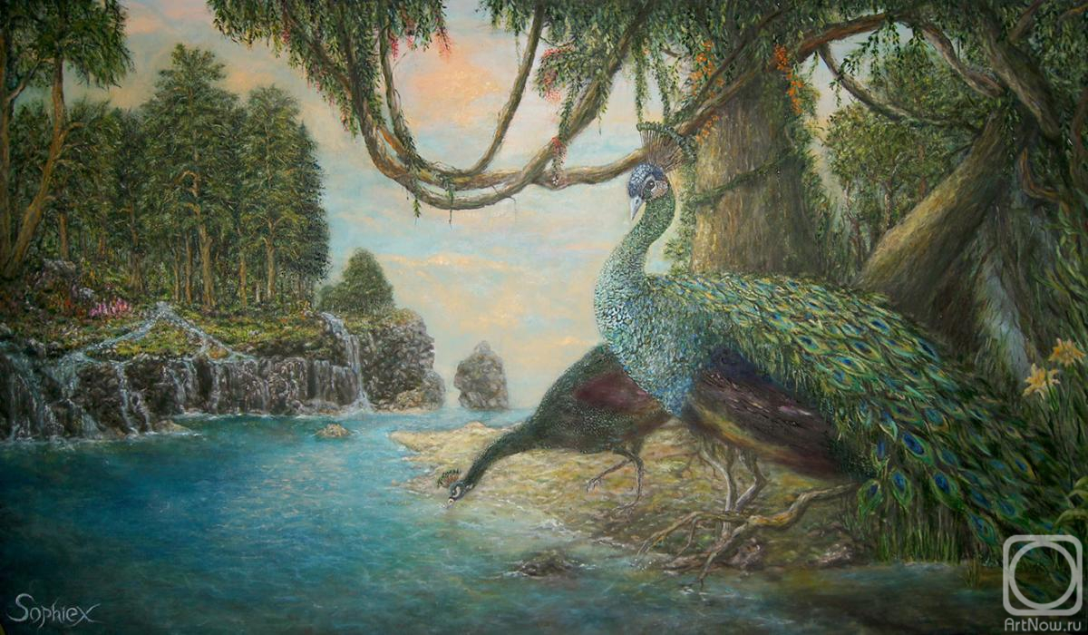 ������� ������ �� ������. ������ ���������. �� ������