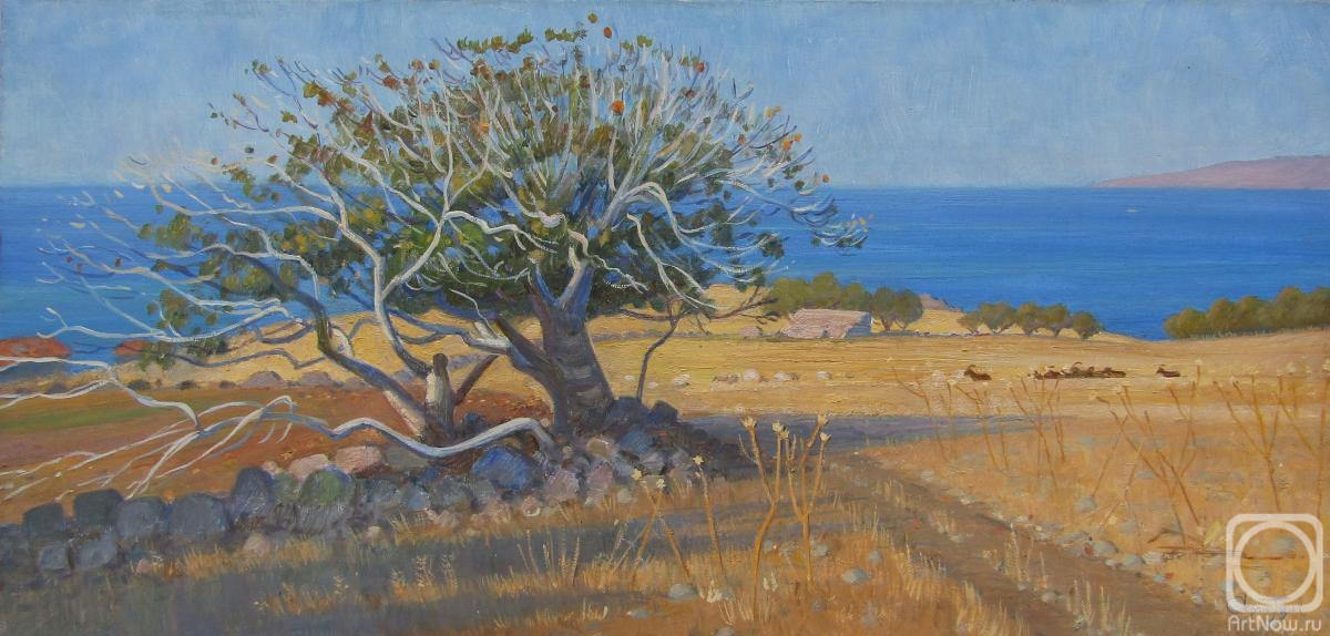 ������� ������ �� ������. ����� ������. �������� ������. ������