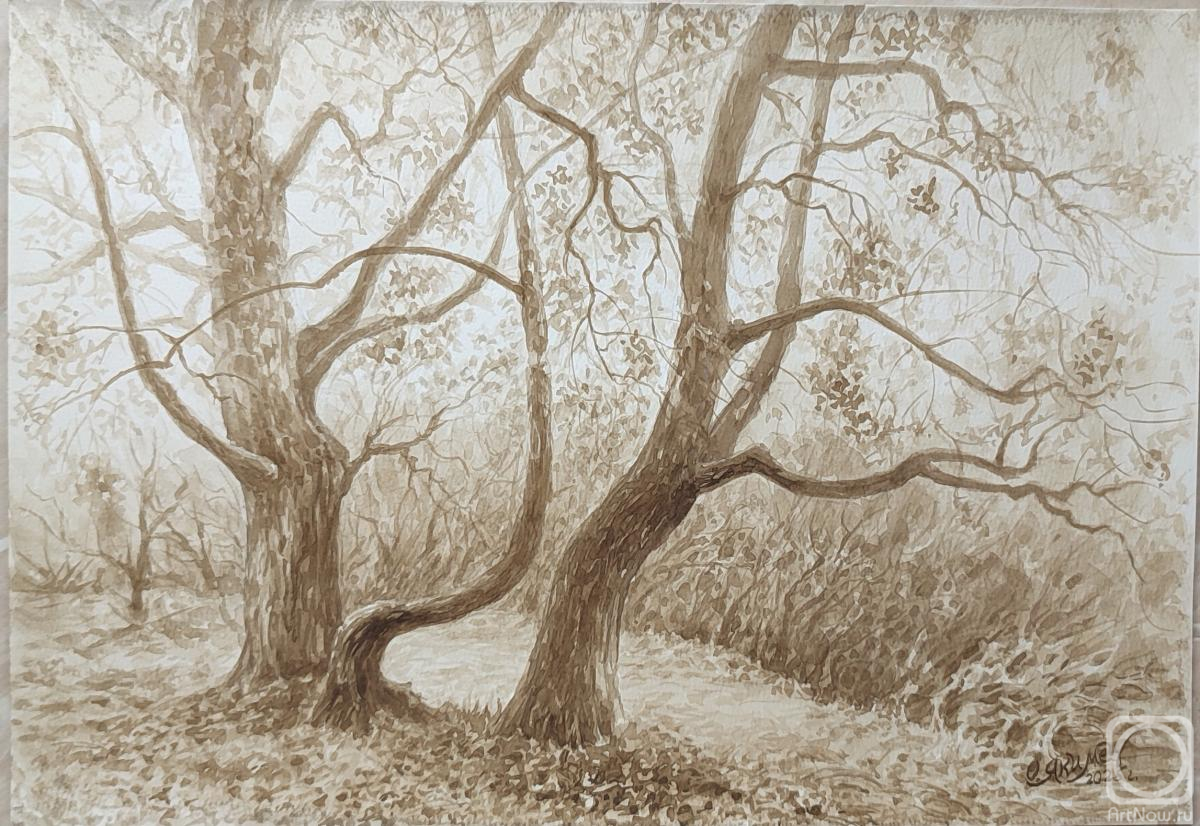 �������. ������ �����. �����. �� �������� � ����