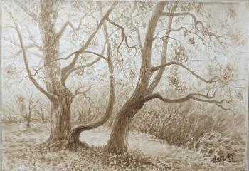 �����. �� �������� � ����