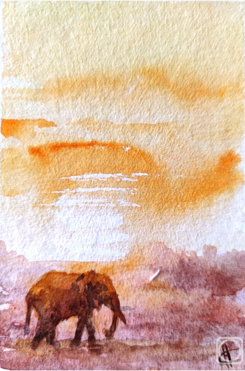 �������. ������ �������. ������ �� ������. ������