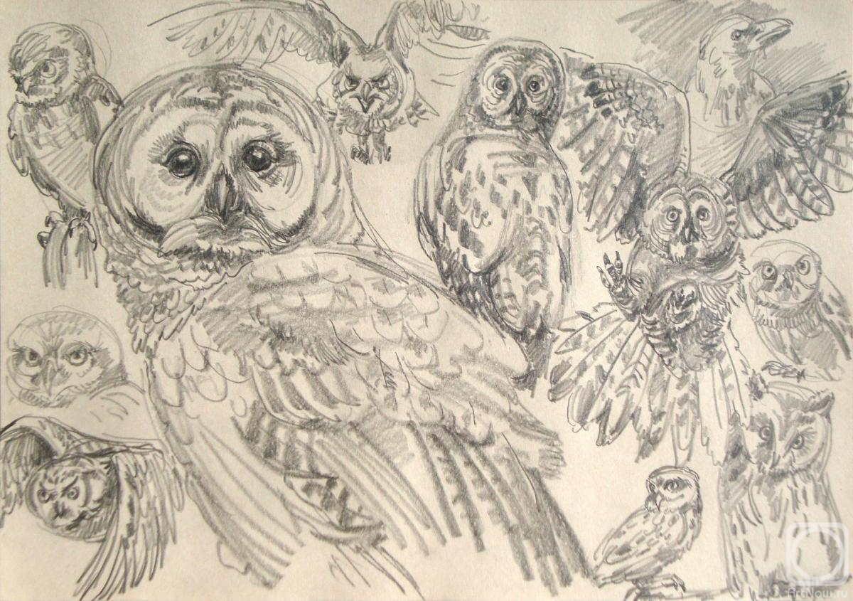 Miroshnikov Dmitriy. Owls and a white crow