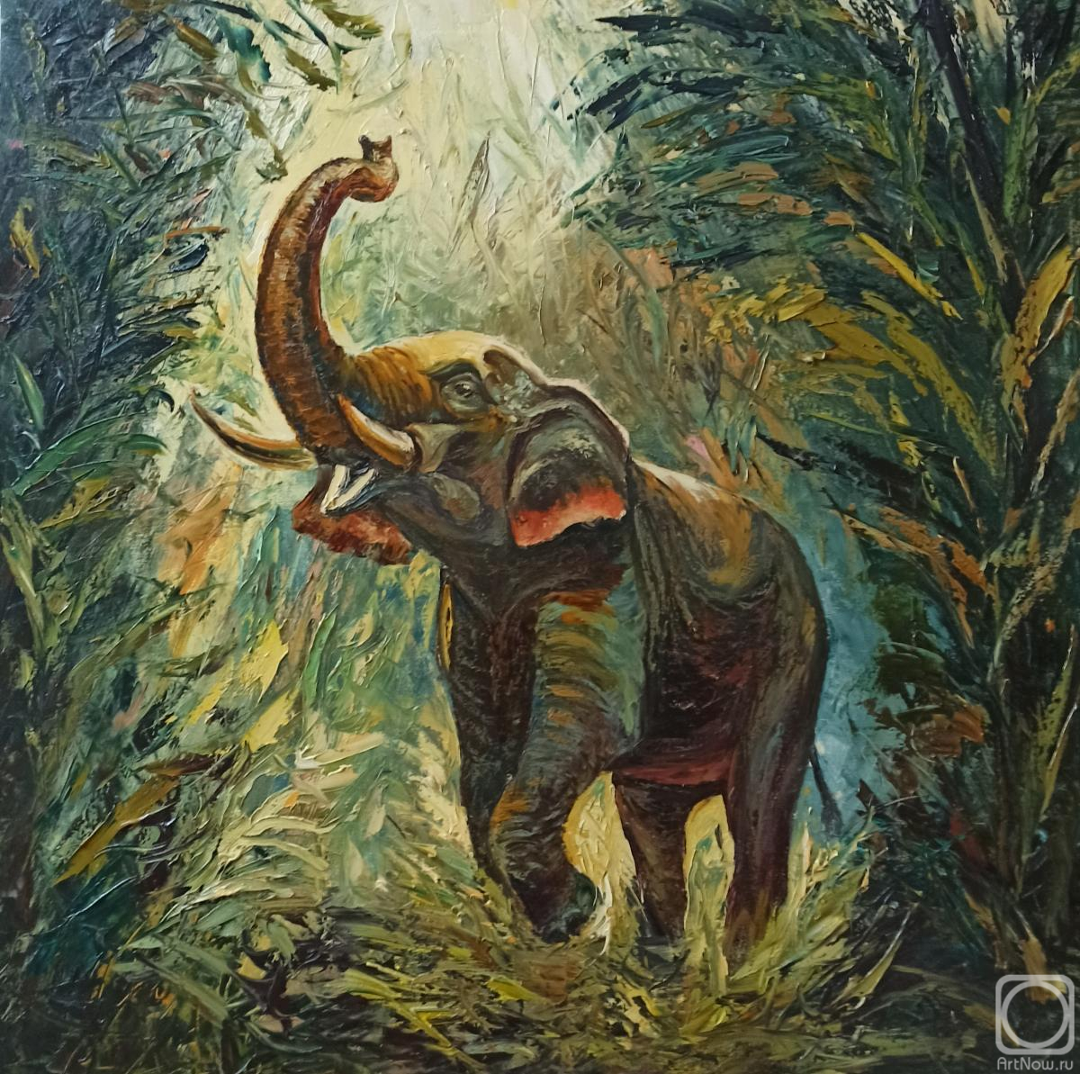 ������� ������ �� ������. ������ �������. ����. ������� ���