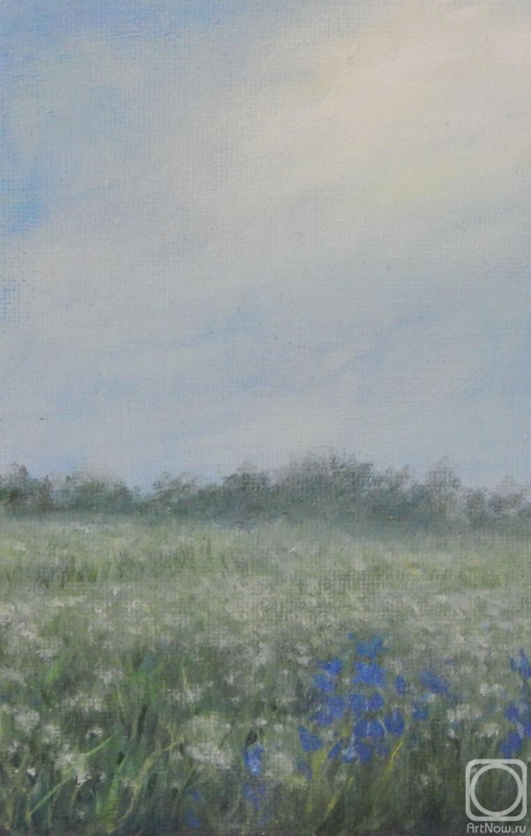 ������� ������ �� ������. ������ �������. ������������