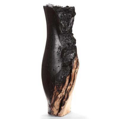 ���� "�������" (�������). ������� �����