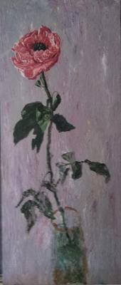 ����������� ��������