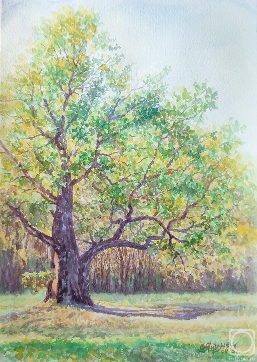 �������. ������ �����. ������� ������. ���. �������