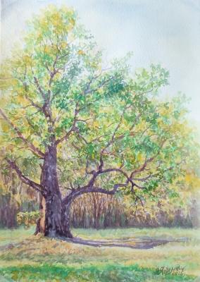 ������� ������. ���. �������. ������ �����