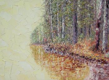 Deserted autumn shore. Smirnov Sergey
