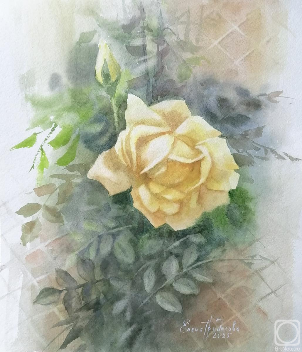 �������. ��������� �����. ���� ������