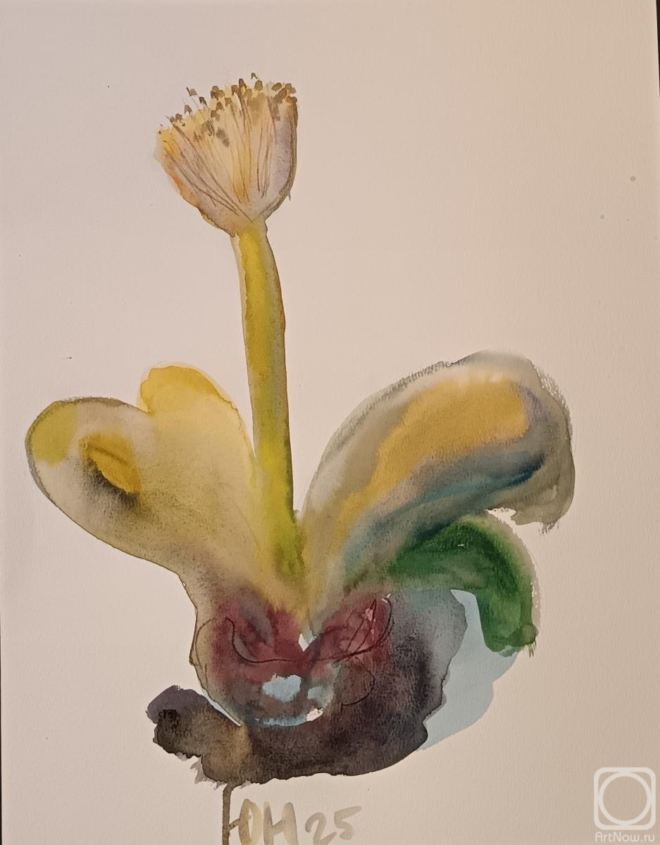 �������. ������ ����. �������� ��������