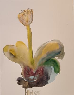 �������� ��������. ������ ����