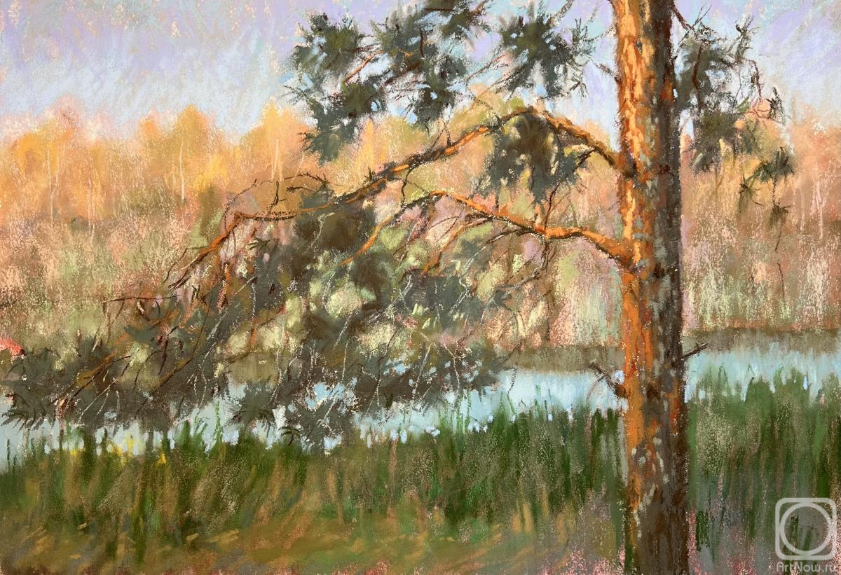 Naumenko Yuliya. Untitled