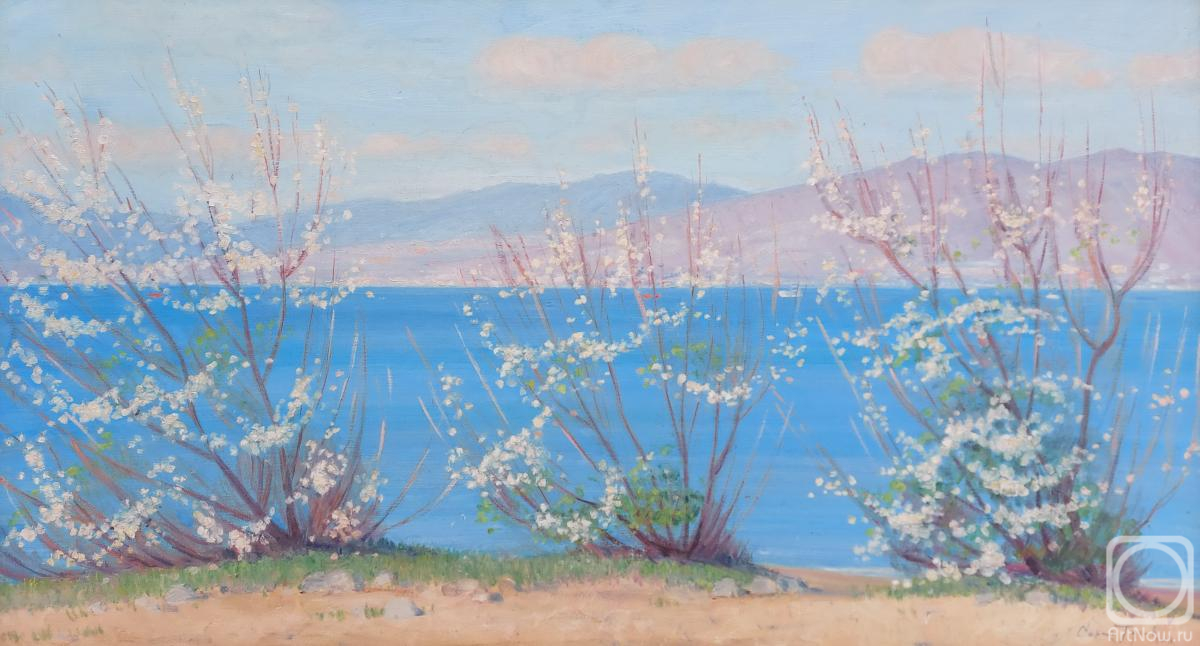 ������� ������ �� ������. ����� ������. �������� �������. �����