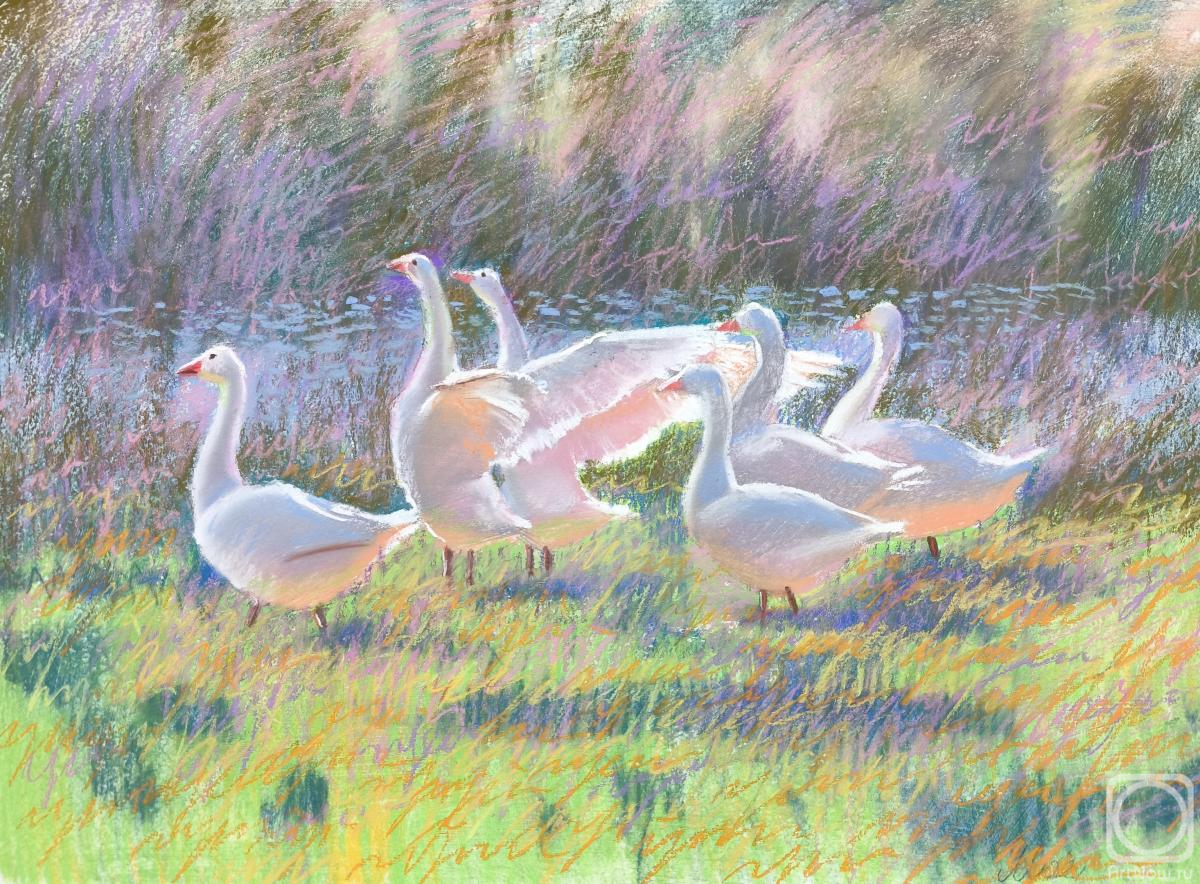 �������. ������ �����. ��������� ����. ����