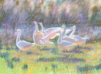 ��������� ����. ����. ������ �����