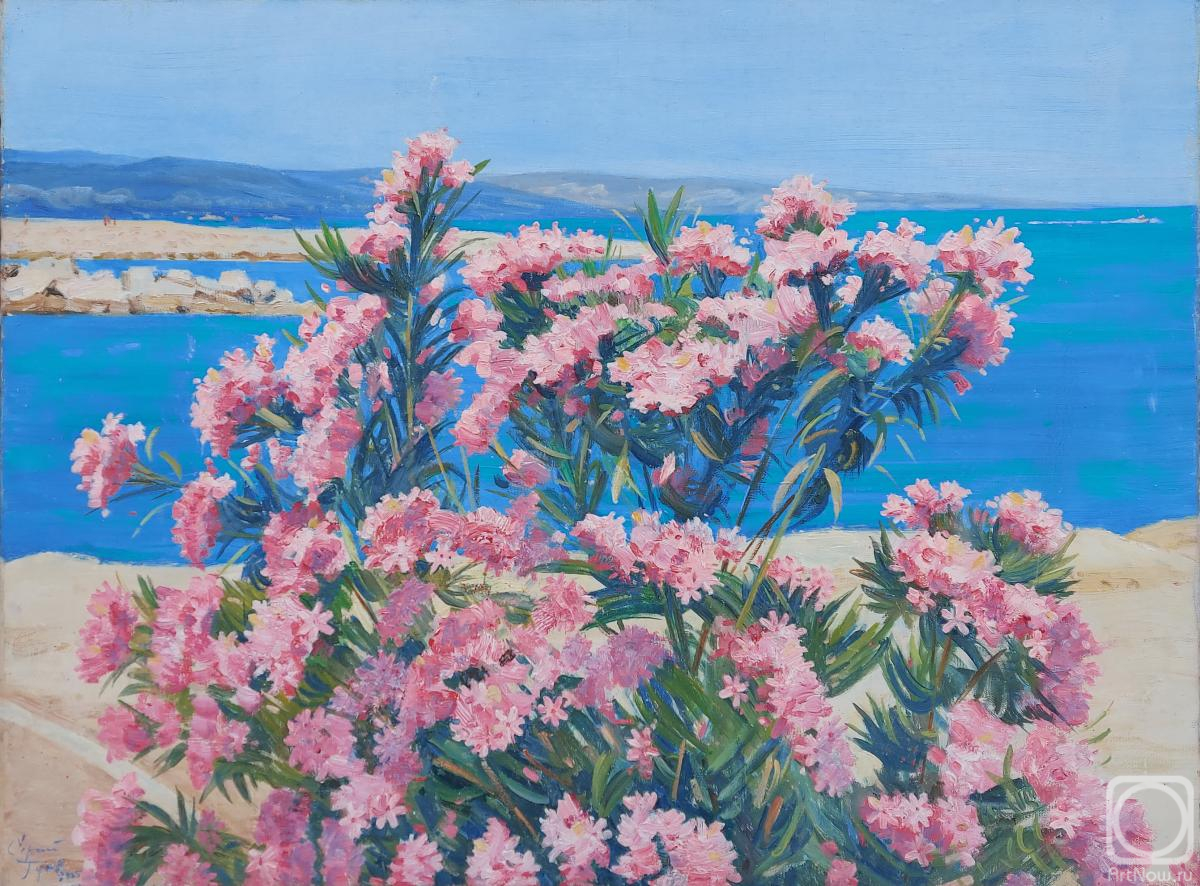 ������� ������ �� ������. ����� ������. ����� � ����. ����