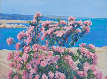 ������� ������ � ����. ����