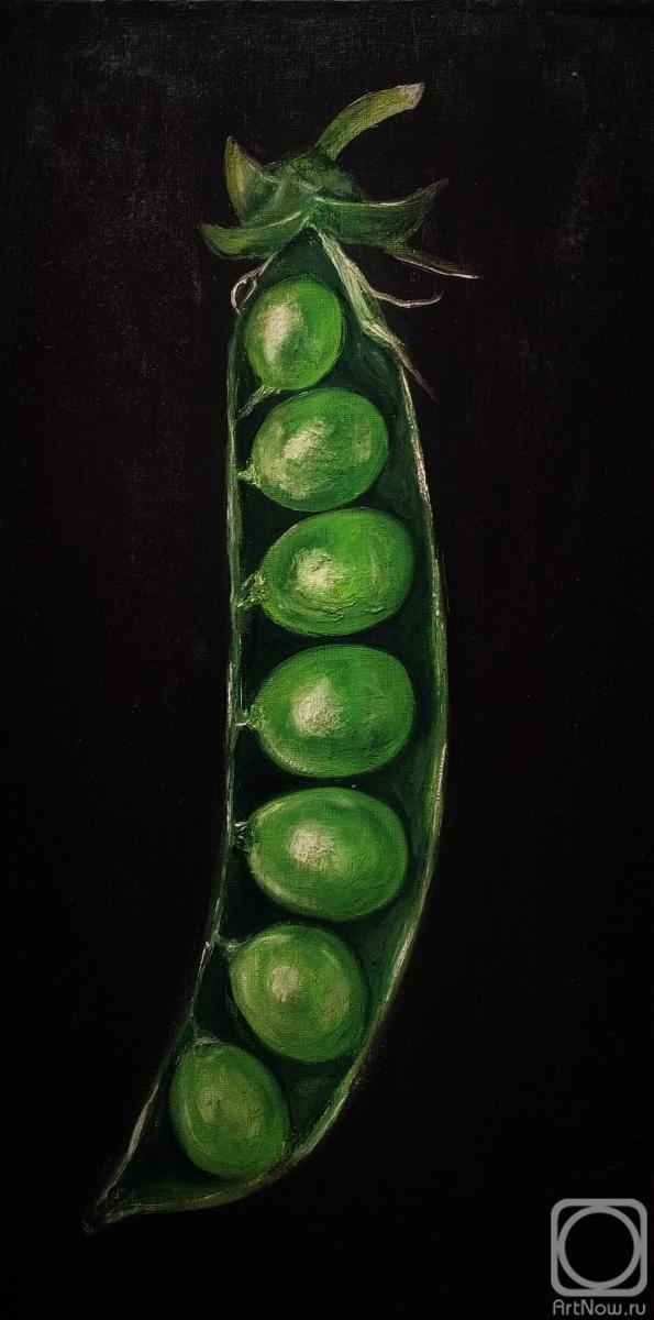 Smirnova Elizaveta. Untitled