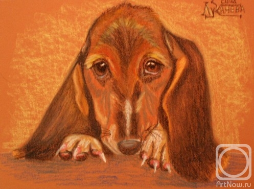 �������. �������� ������. ������!