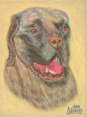 ������� ��� ���������...�