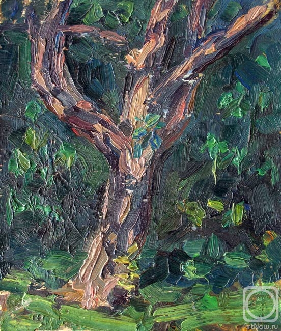 �������. �����-����� ����. ������, ���������� �������