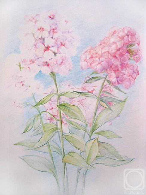 �������. ��������� �������. �����