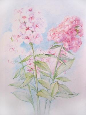 ������� �������