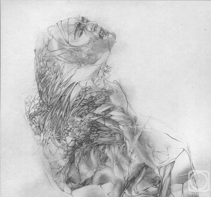 �������. ���������� ������. ������� ��� ��������