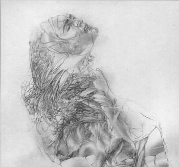 ������� ���� ���������