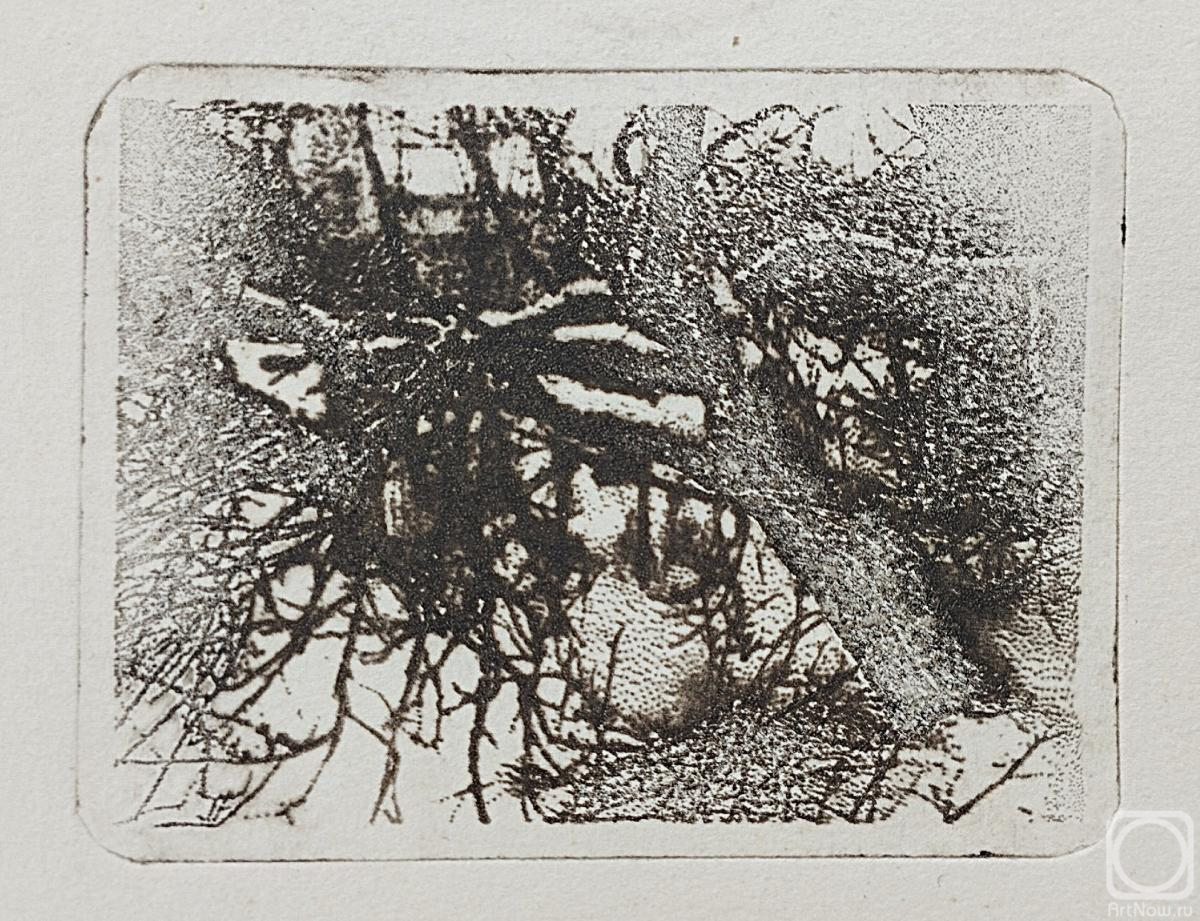 �������. �������� ����. ������