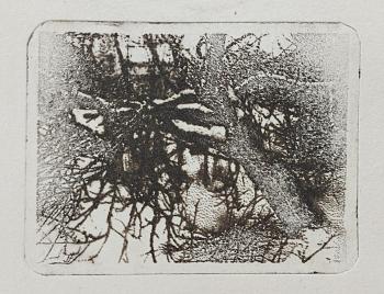 ������ (����). �������� ����