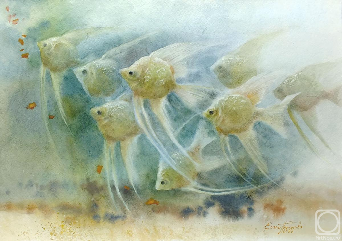 �������. ��������� �����. ������ ����� ��������