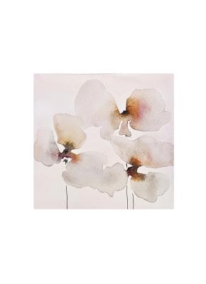 Pink Orchid Trio Abstract Floral Square Minimalist Watercolor Art. Solovyanova Tatyana