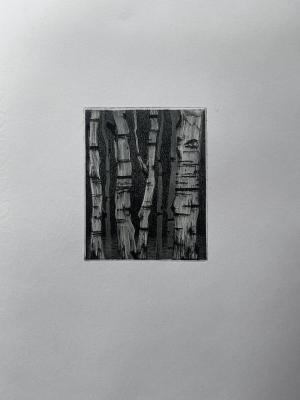 Untitled. Ermolenko Polina