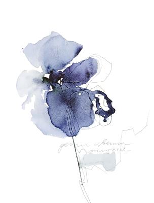 ����������� ������ �������� ���������� ����������� ������������ �����������. ����������� �������