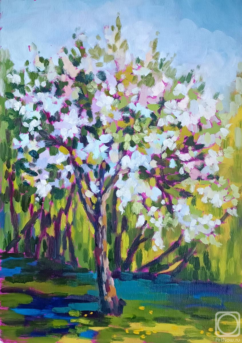 ������� ������ �� ������. ��������� ���������. ����� � �����