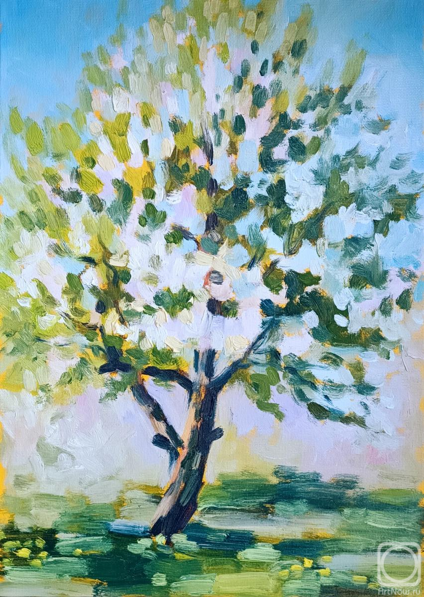 ������� ������ �� ������. ��������� ���������. ����� � �����