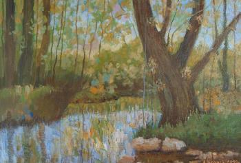 Cheremshansky plein air