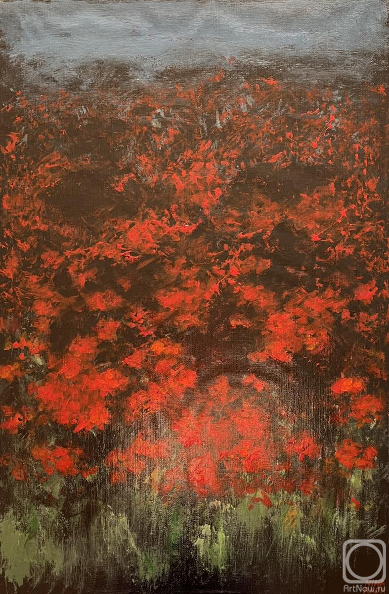 �������. ���� ����. �����