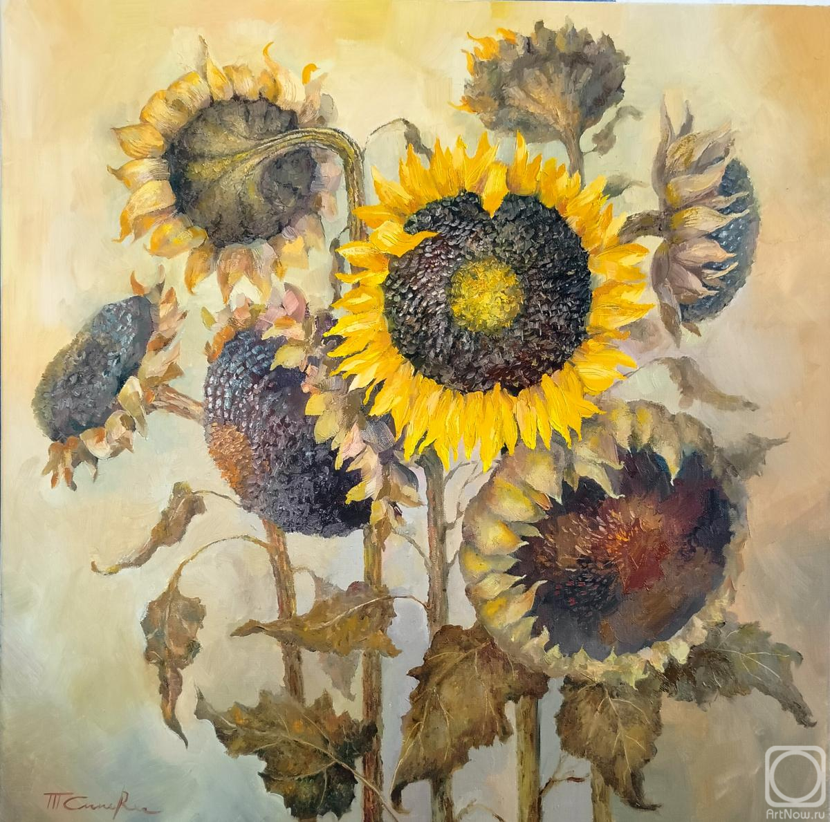 ������� ������ �� ������. ������� �������. �����