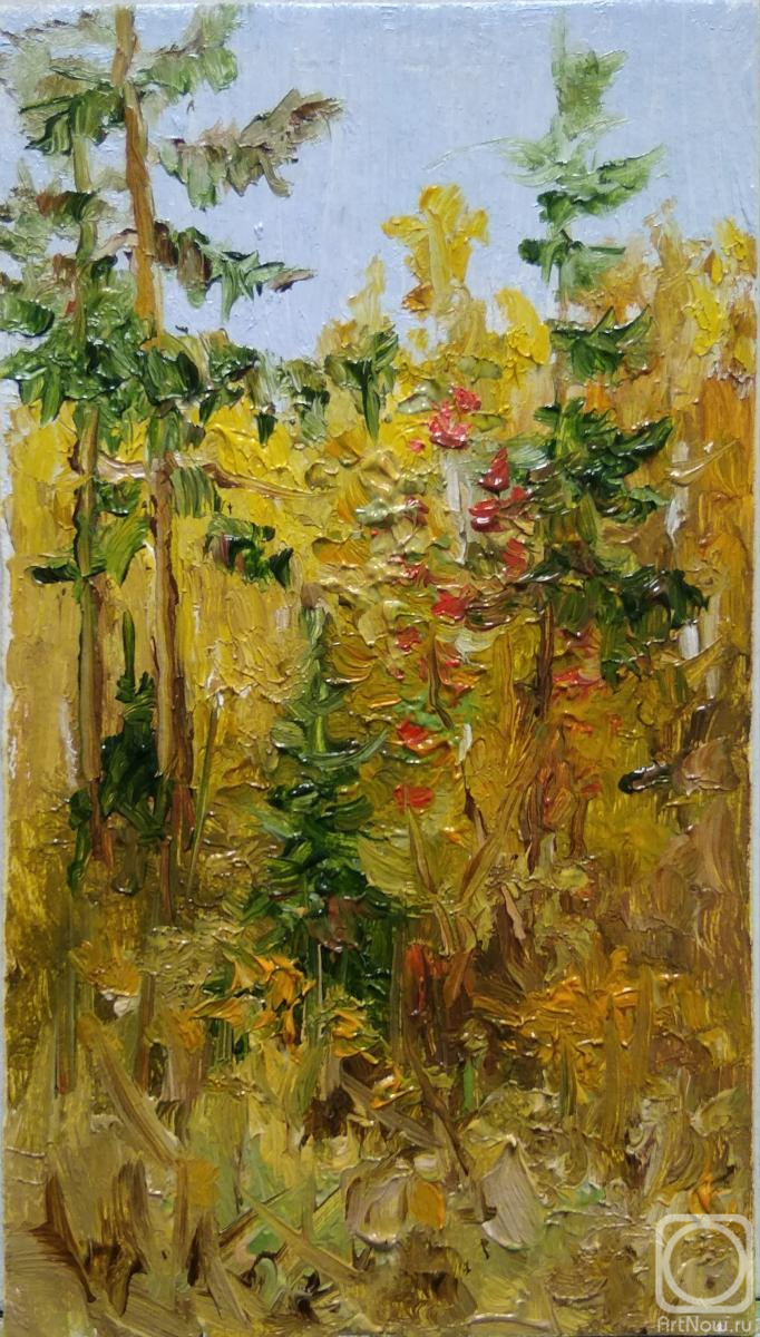 �������. ������� ������. ����������� ���������