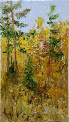 ������� ������������ ���������