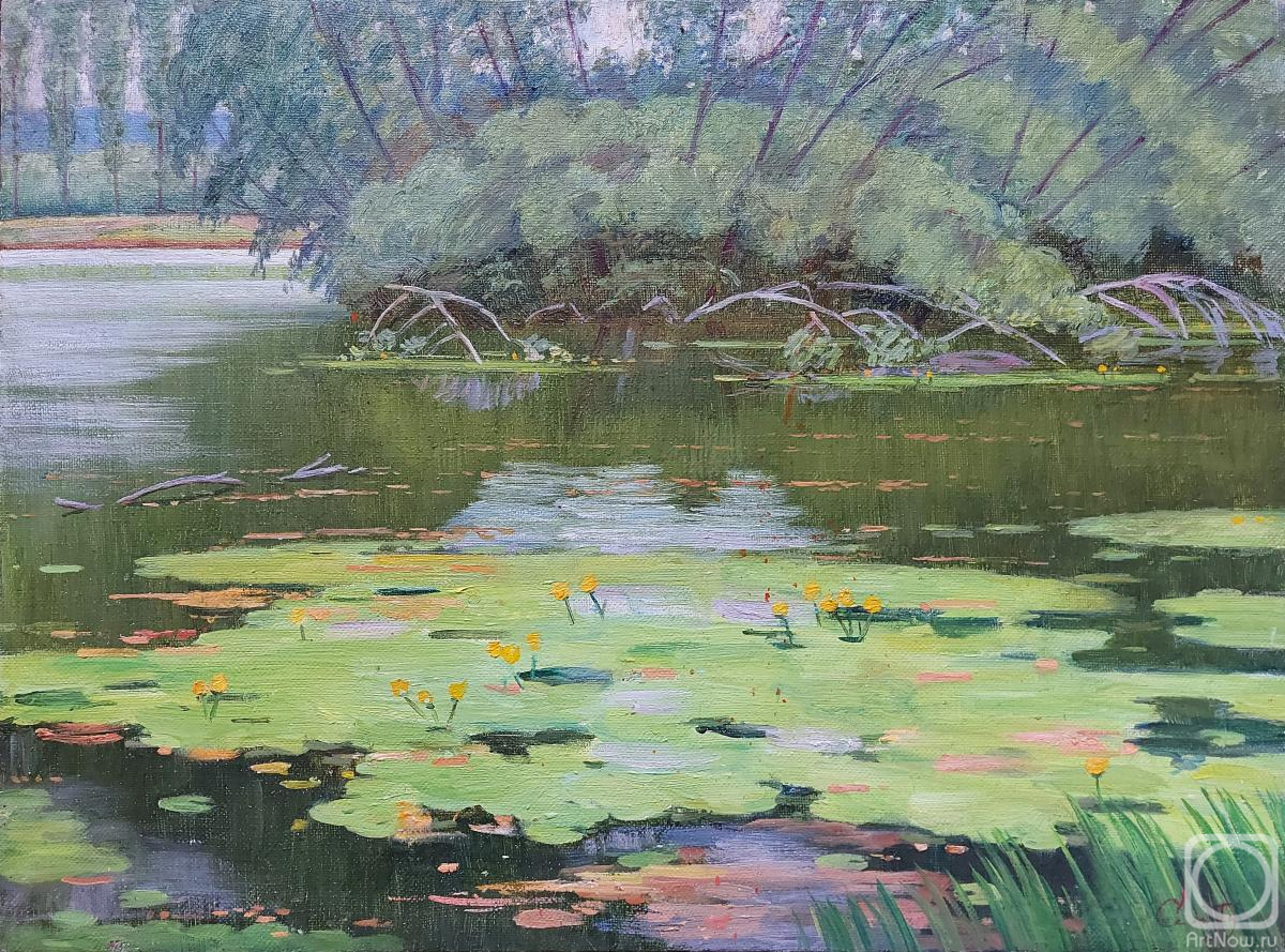 ������� ������ �� ������. ����� ������. ��������. � ������ �.�.����������